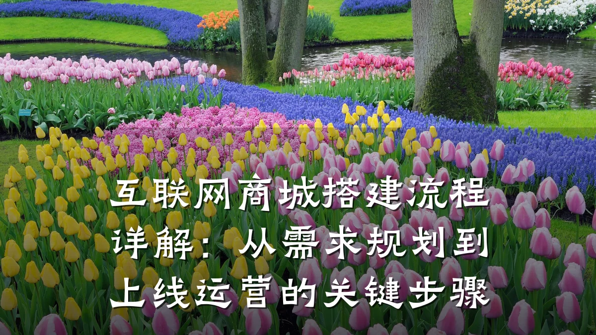 互联网商城搭建流程详解：从需求规划到上线运营的关键步骤