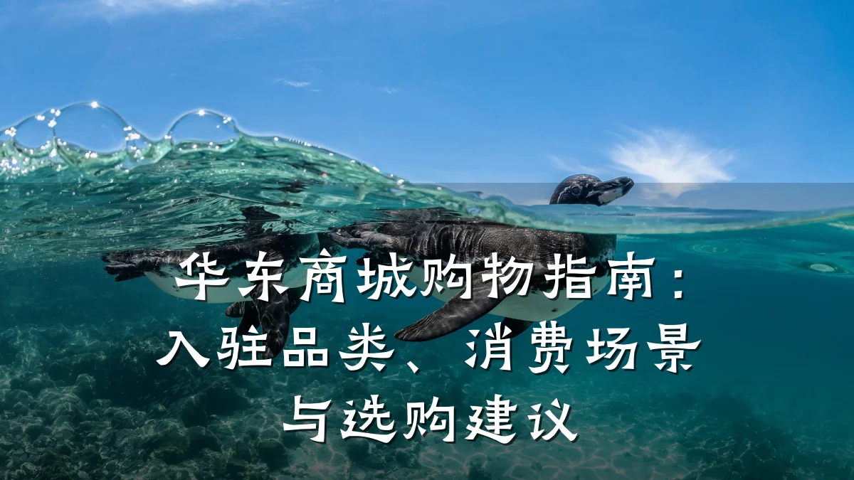 华东商城购物指南：入驻品类、消费场景与选购建议