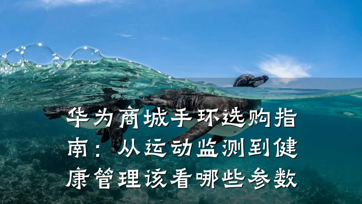 华为商城手环选购指南:从运动监测到健康管理该看哪些参数