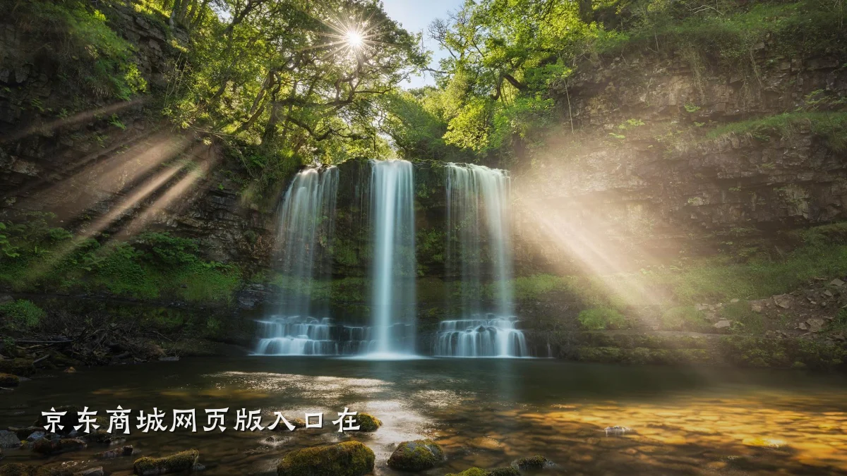 京东商城网页版入口在