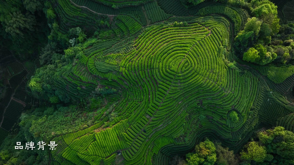 品牌背景