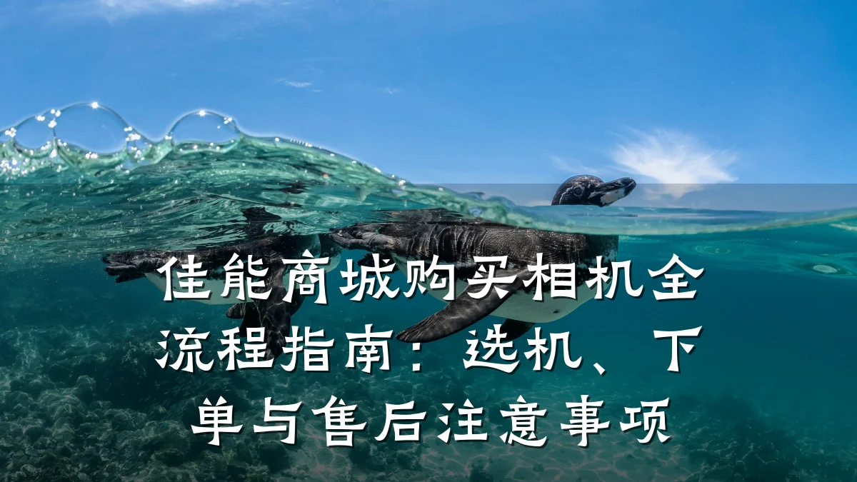 佳能商城购买相机全流程指南:选机、下单与售后注意事项