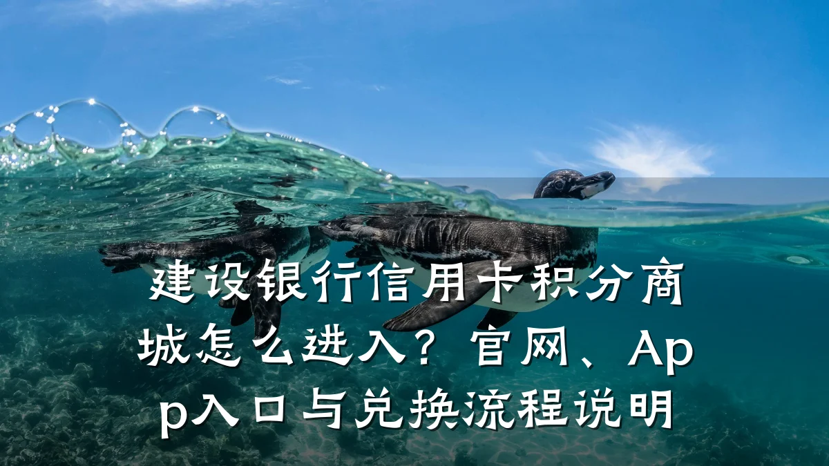建设银行信用卡积分商城怎么进入?官网、App入口与兑换流程说明