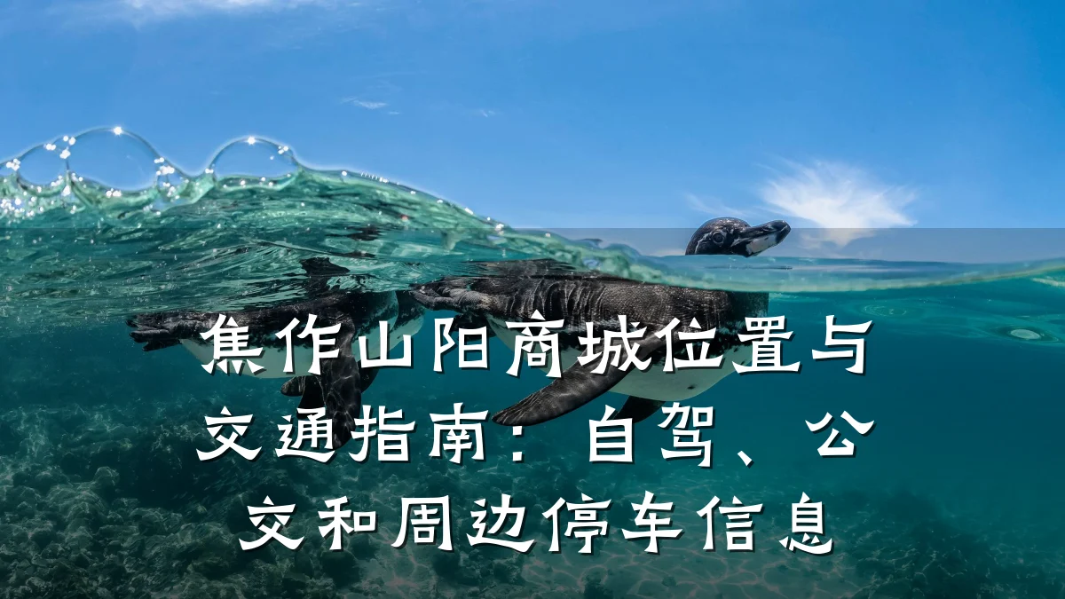 焦作山阳商城位置与交通指南：自驾、公交和周边停车信息