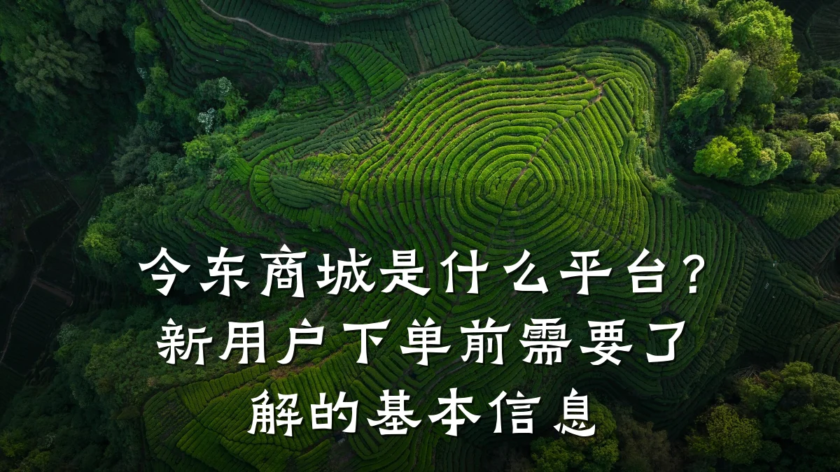 今东商城是什么平台?新用户下单前需要了解的基本信息