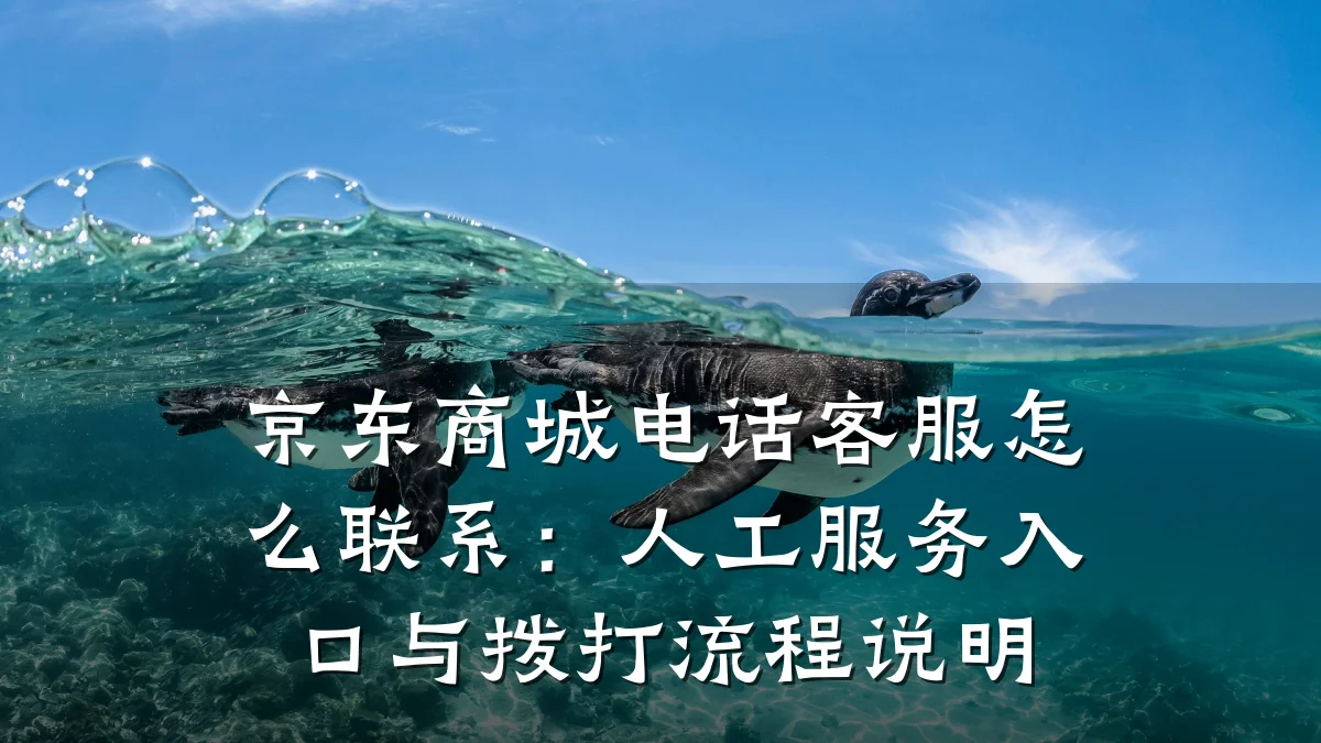 京东商城电话客服怎么联系：人工服务入口与拨打流程说明
