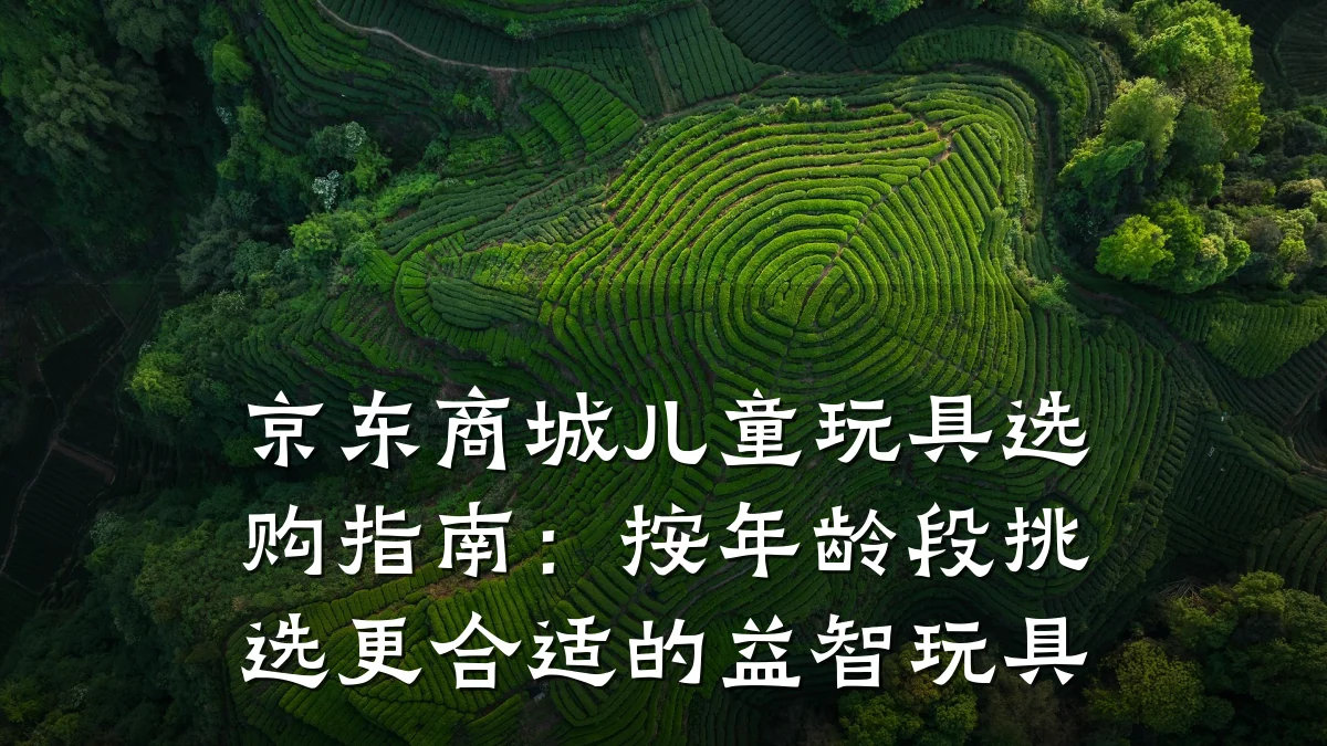 京东商城儿童玩具选购指南:按年龄段挑选更合适的益智玩具