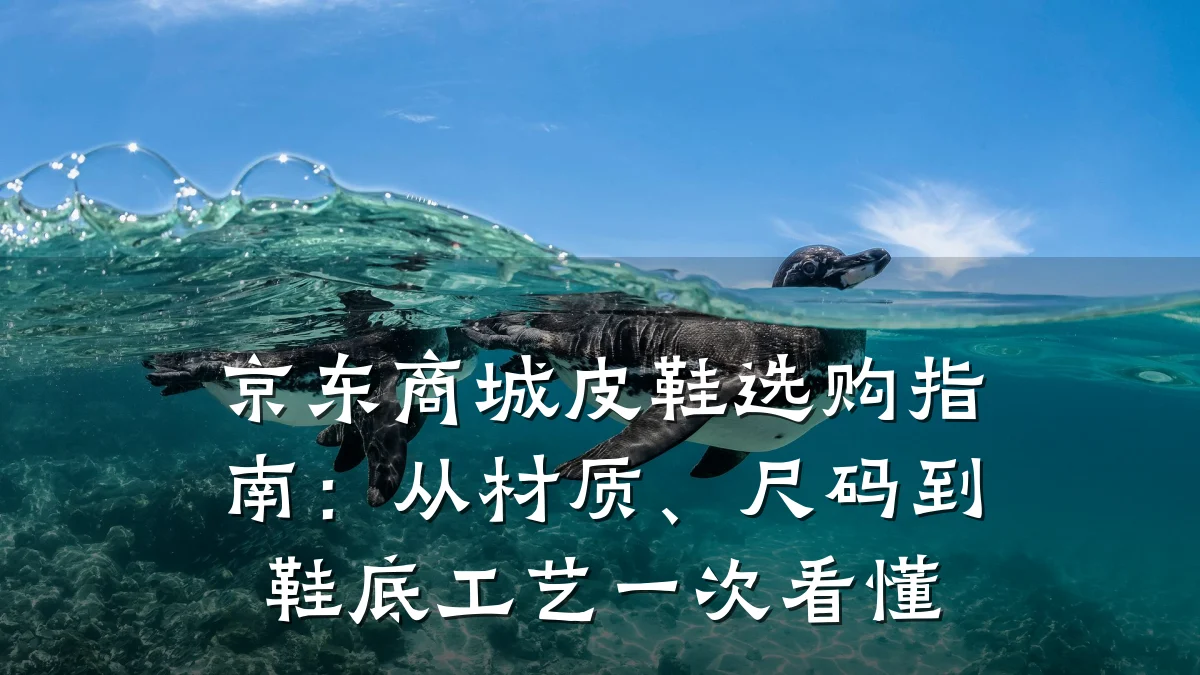 京东商城皮鞋选购指南：从材质、尺码到鞋底工艺一次看懂
