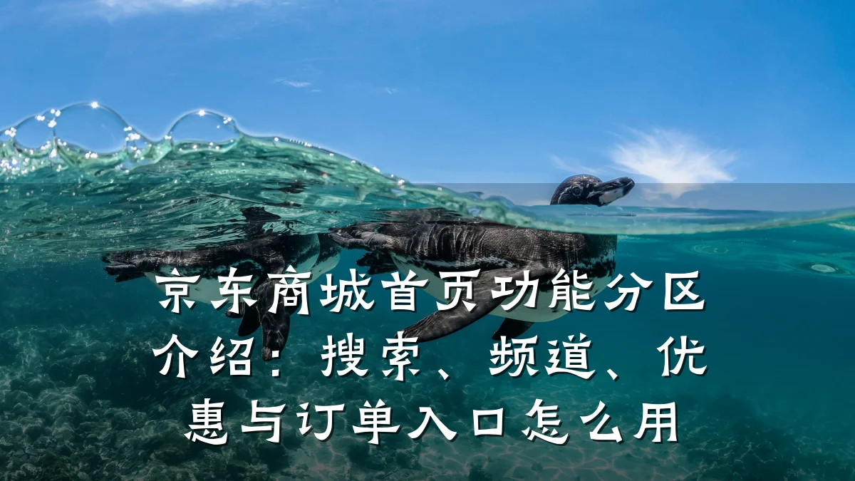 京东商城首页功能分区介绍：搜索、频道、优惠与订单入口怎么用