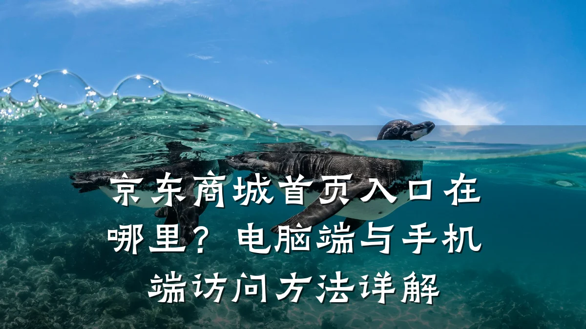 京东商城首页入口在哪里?电脑端与手机端访问方法详解