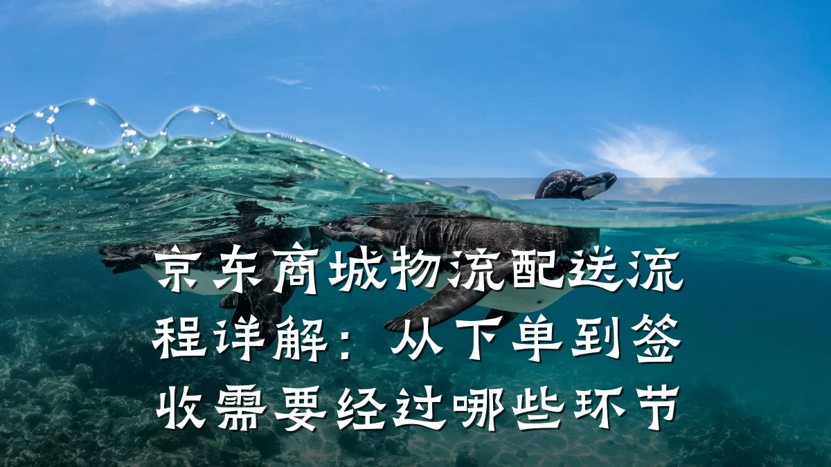 京东商城物流配送流程详解：从下单到签收需要经过哪些环节