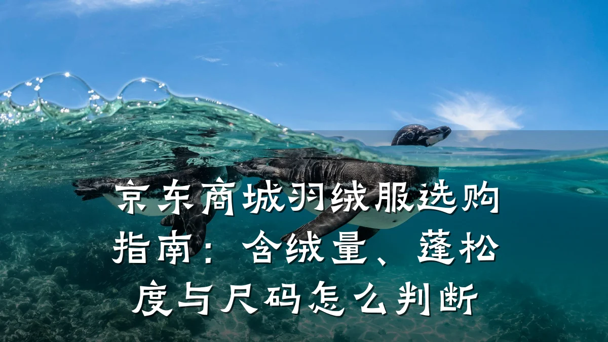 京东商城羽绒服选购指南:含绒量、蓬松度与尺码怎么判断