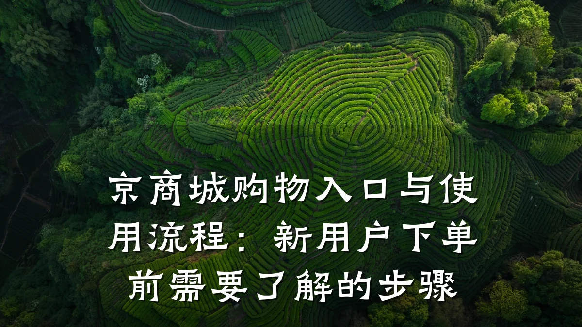 京商城购物入口与使用流程:新用户下单前需要了解的步骤