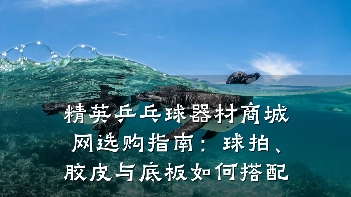 精英乒乓球器材商城网选购指南：球拍、胶皮与底板如何搭配