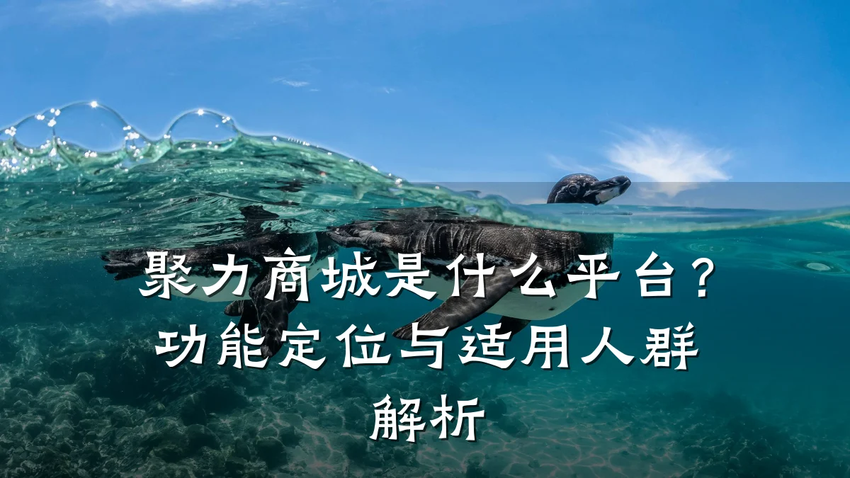 聚力商城是什么平台?功能定位与适用人群解析