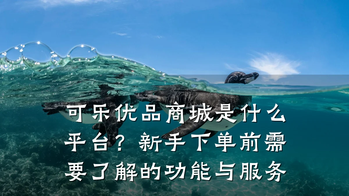 可乐优品商城是什么平台?新手下单前需要了解的功能与服务