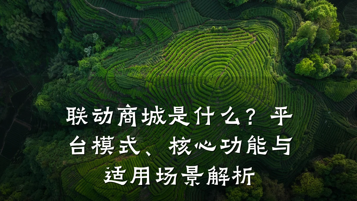 联动商城是什么？平台模式、核心功能与适用场景解析