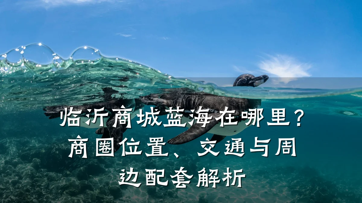 临沂商城蓝海在哪里？商圈位置、交通与周边配套解析