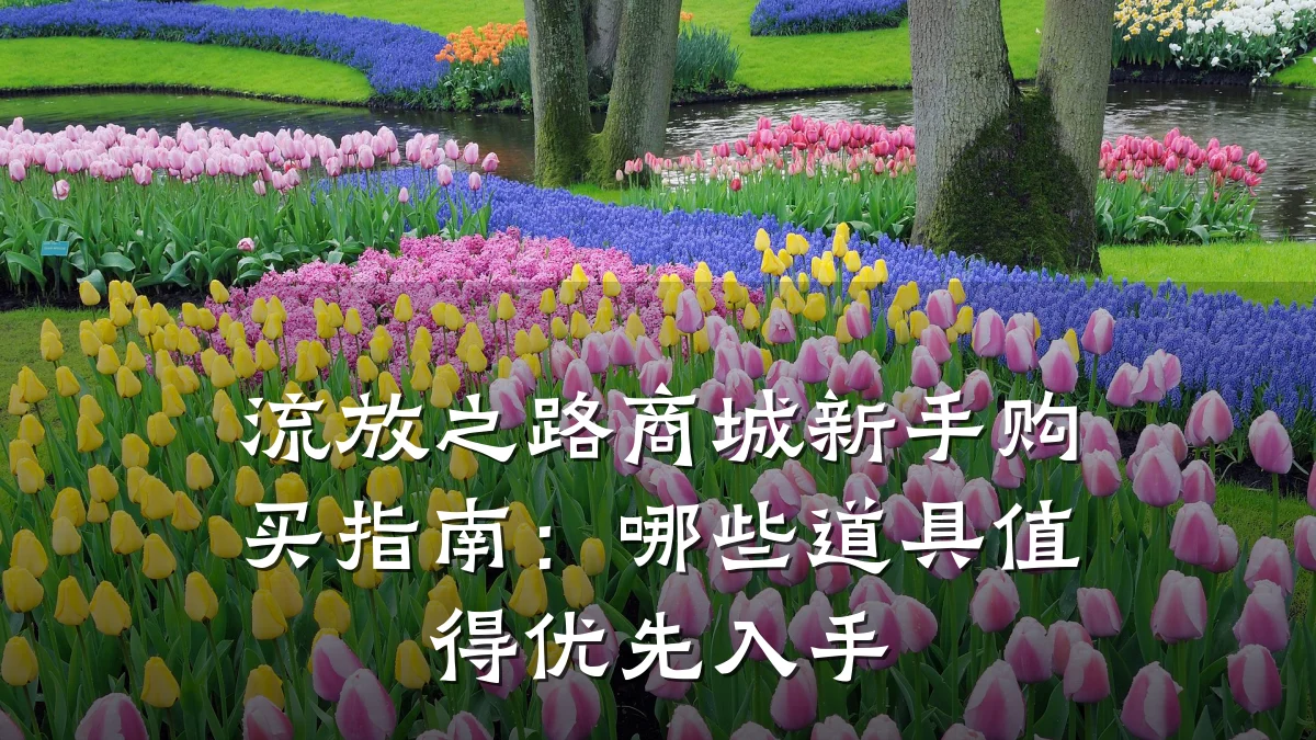 流放之路商城新手购买指南:哪些道具值得优先入手