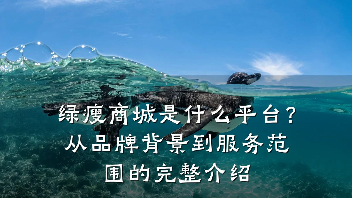 绿瘦商城是什么平台？从品牌背景到服务范围的完整介绍