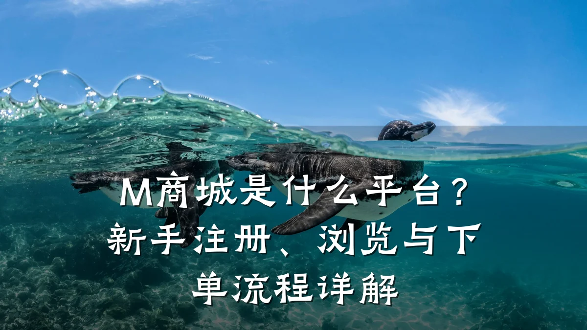 M商城是什么平台?新手注册、浏览与下单流程详解