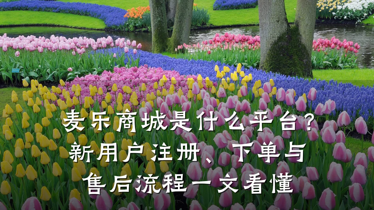 麦乐商城是什么平台?新用户注册、下单与售后流程一文看懂