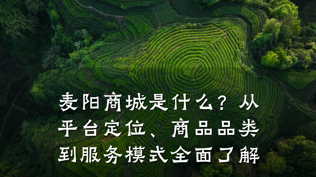 麦阳商城是什么?从平台定位、商品品类到服务模式全面了解