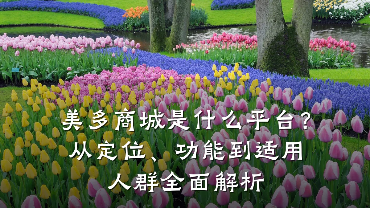 美多商城是什么平台？从定位、功能到适用人群全面解析