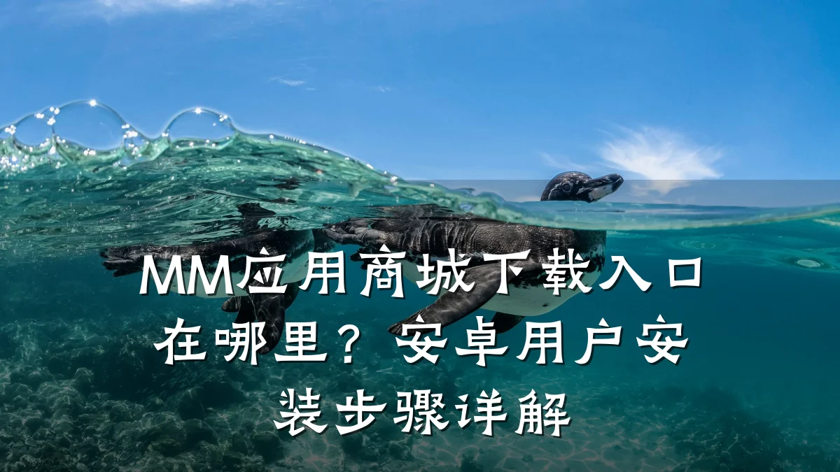 MM应用商城下载入口在哪里?安卓用户安装步骤详解