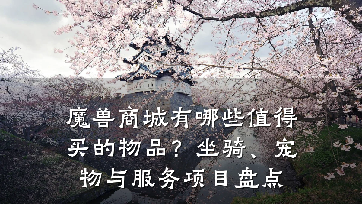 魔兽商城有哪些值得买的物品？坐骑、宠物与服务项目盘点