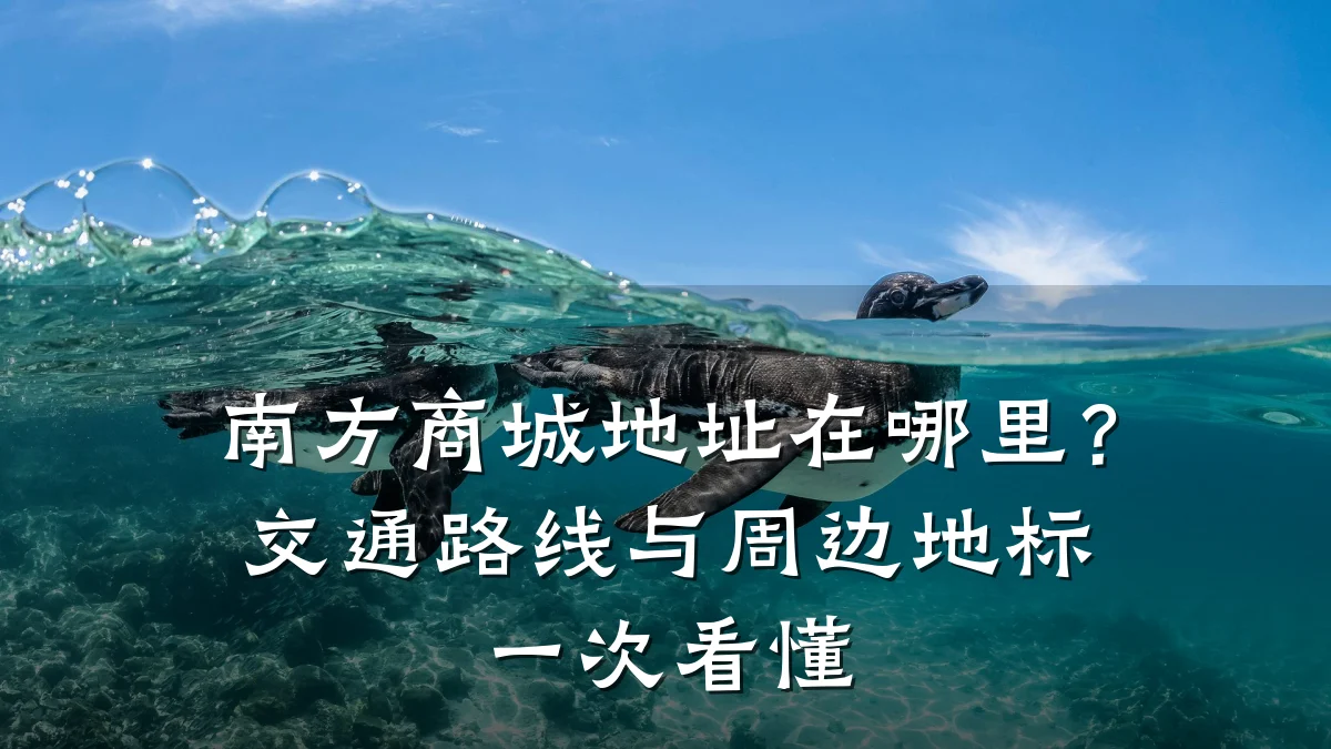 南方商城地址在哪里？交通路线与周边地标一次看懂