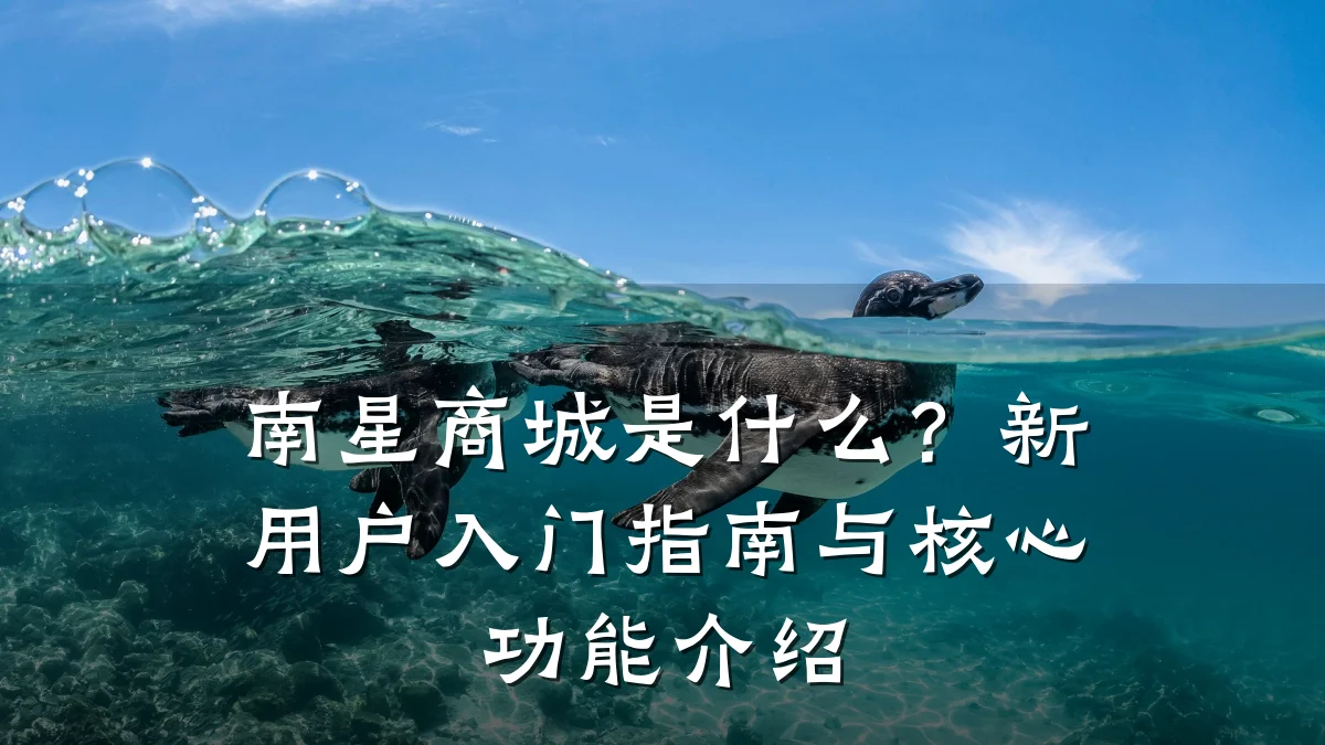 南星商城是什么？新用户入门指南与核心功能介绍