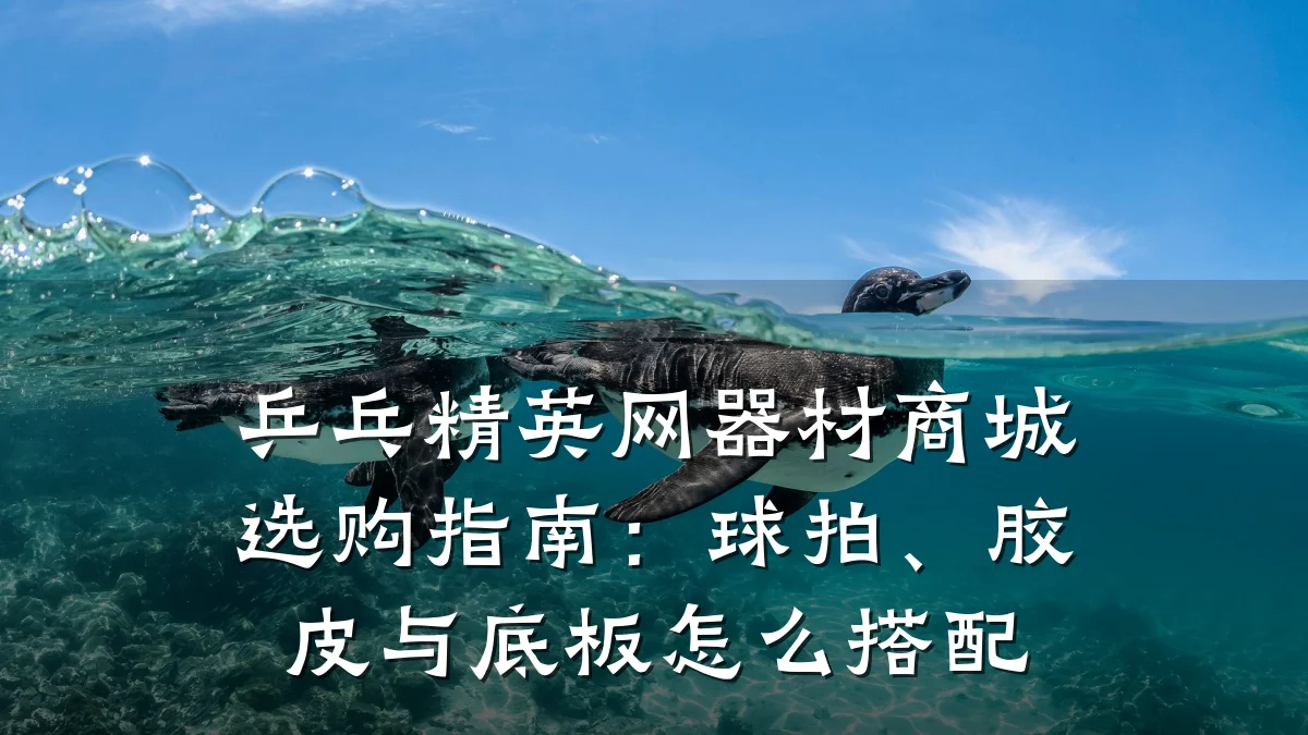 乒乓精英网器材商城选购指南：球拍、胶皮与底板怎么搭配
