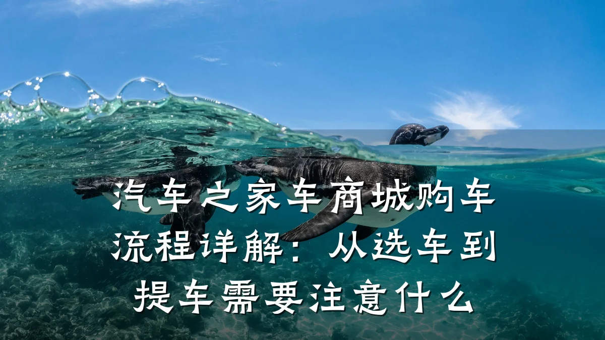 汽车之家车商城购车流程详解:从选车到提车需要注意什么