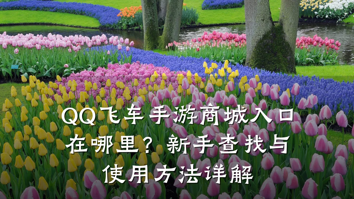 QQ飞车手游商城入口在哪里?新手查找与使用方法详解