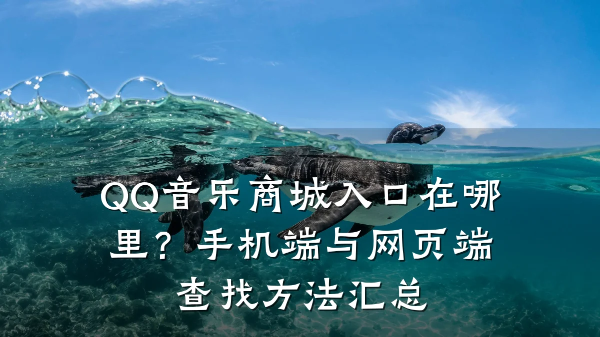 QQ音乐商城入口在哪里？手机端与网页端查找方法汇总