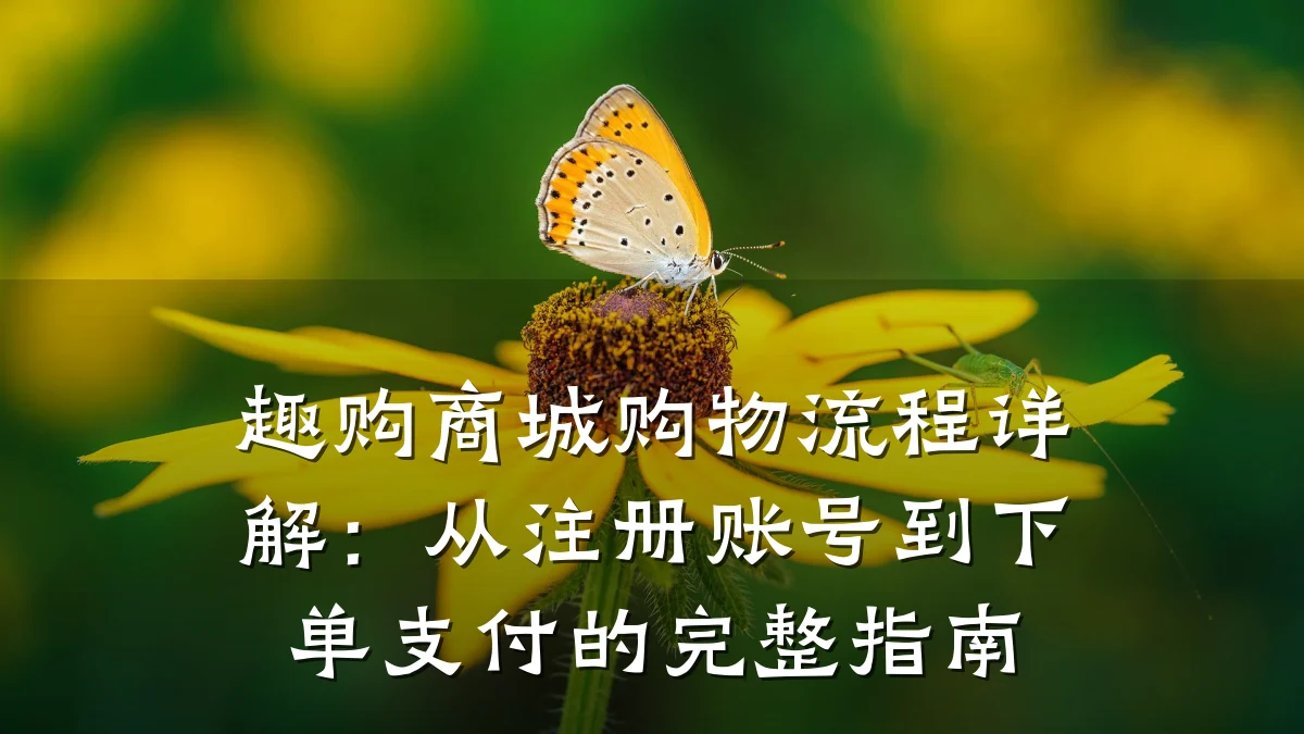 趣购商城购物流程详解:从注册账号到下单支付的完整指南