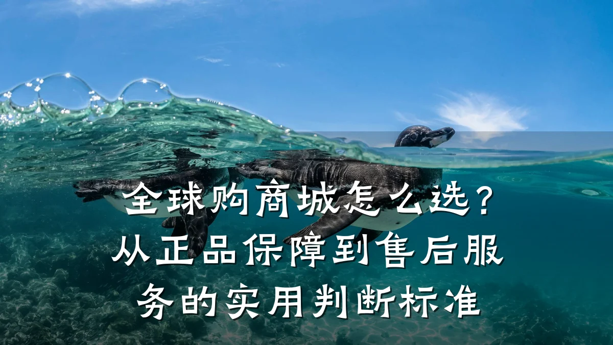 全球购商城怎么选？从正品保障到售后服务的实用判断标准
