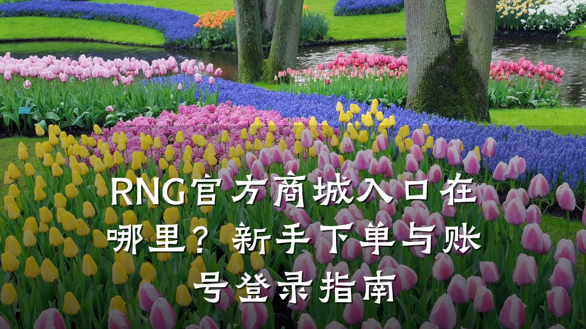RNG官方商城入口在哪里?新手下单与账号登录指南