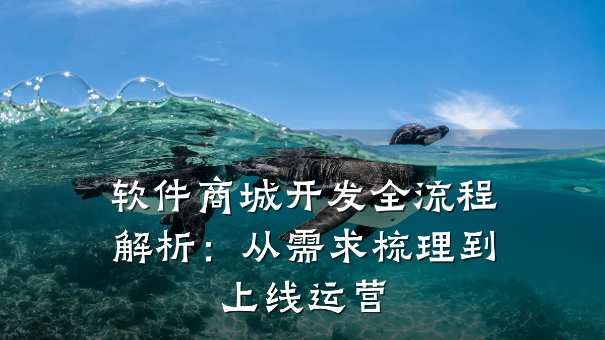 软件商城开发全流程解析：从需求梳理到上线运营
