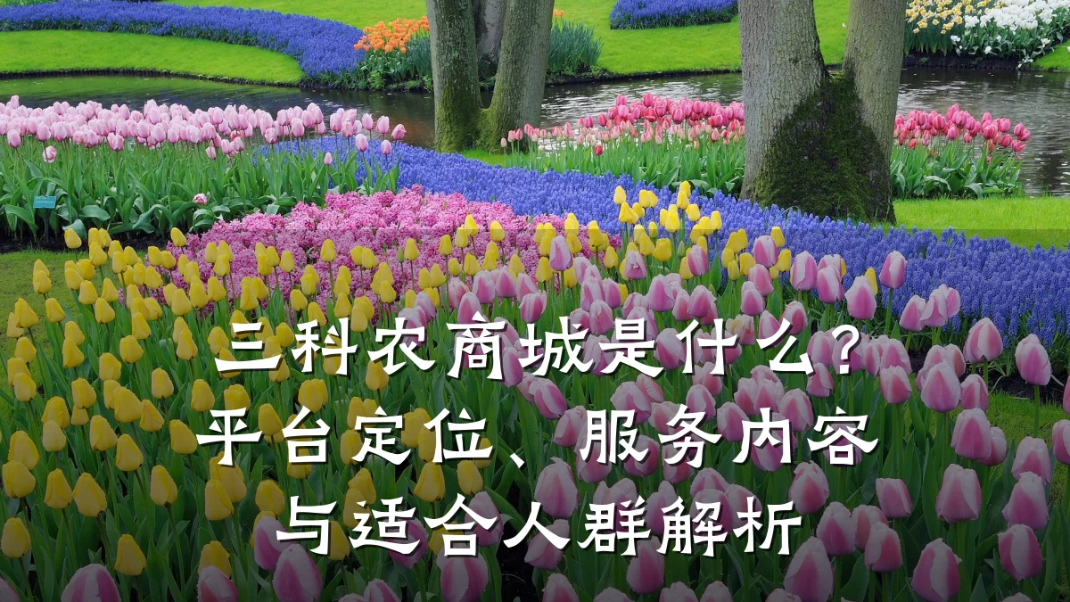 三科农商城是什么？平台定位、服务内容与适合人群解析