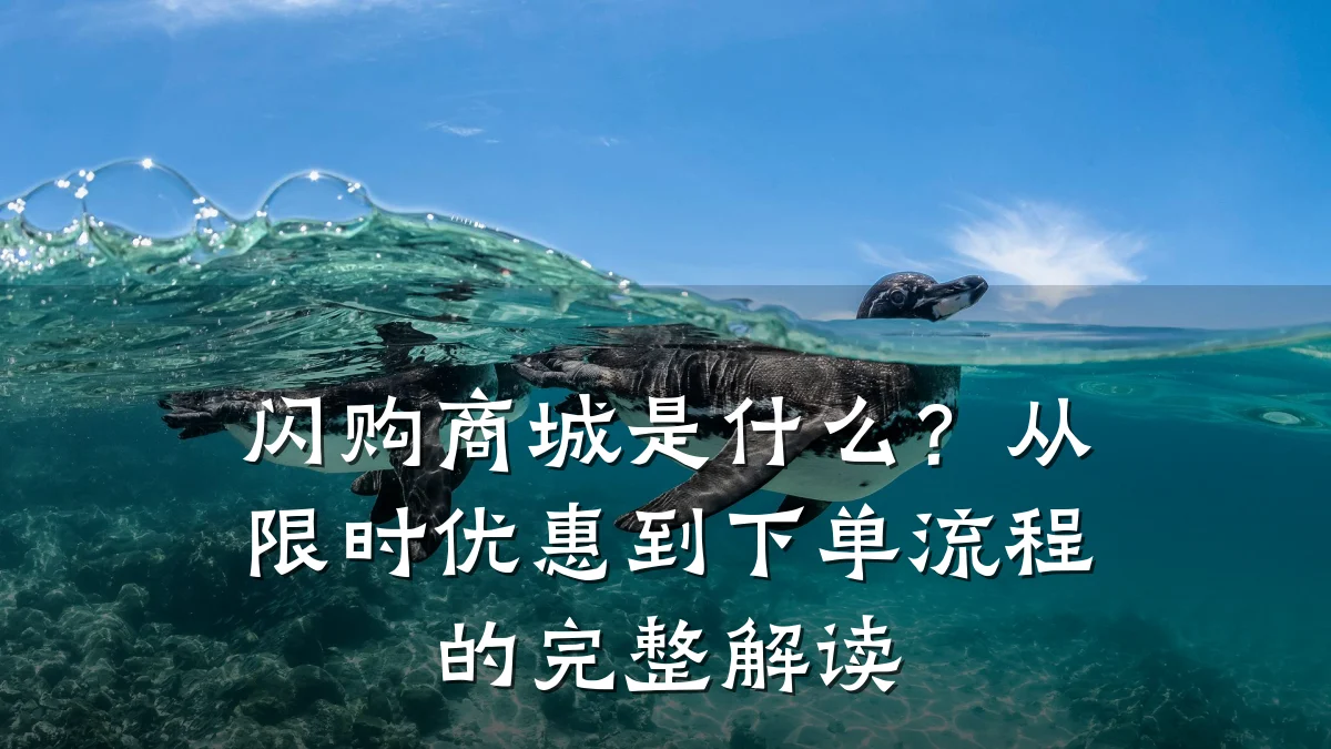 闪购商城是什么？从限时优惠到下单流程的完整解读