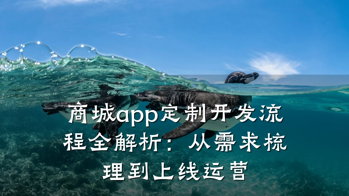 商城app定制开发流程全解析：从需求梳理到上线运营