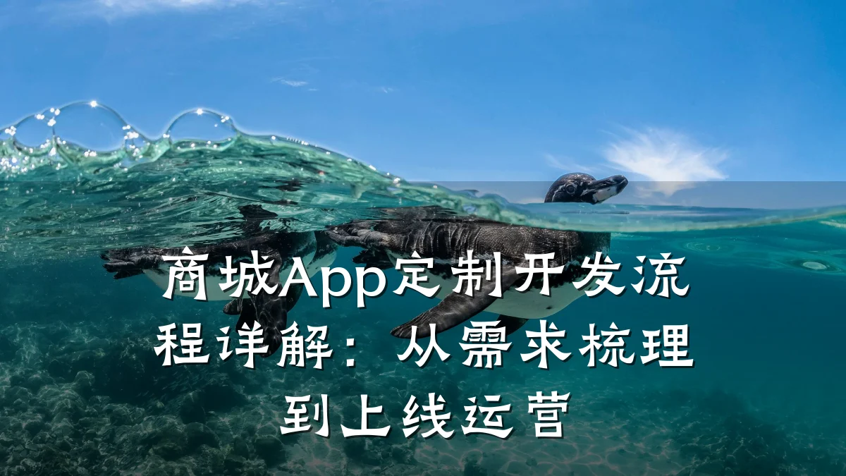 商城App定制开发流程详解：从需求梳理到上线运营