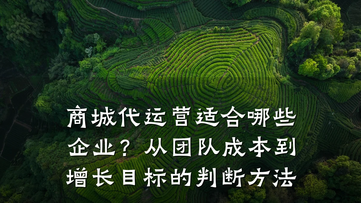 商城代运营适合哪些企业?从团队成本到增长目标的判断方法