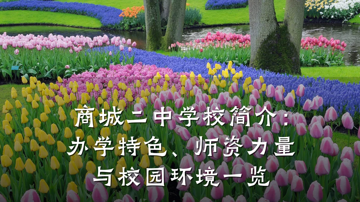 商城二中学校简介：办学特色、师资力量与校园环境一览
