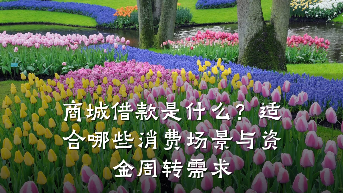 商城借款是什么？适合哪些消费场景与资金周转需求