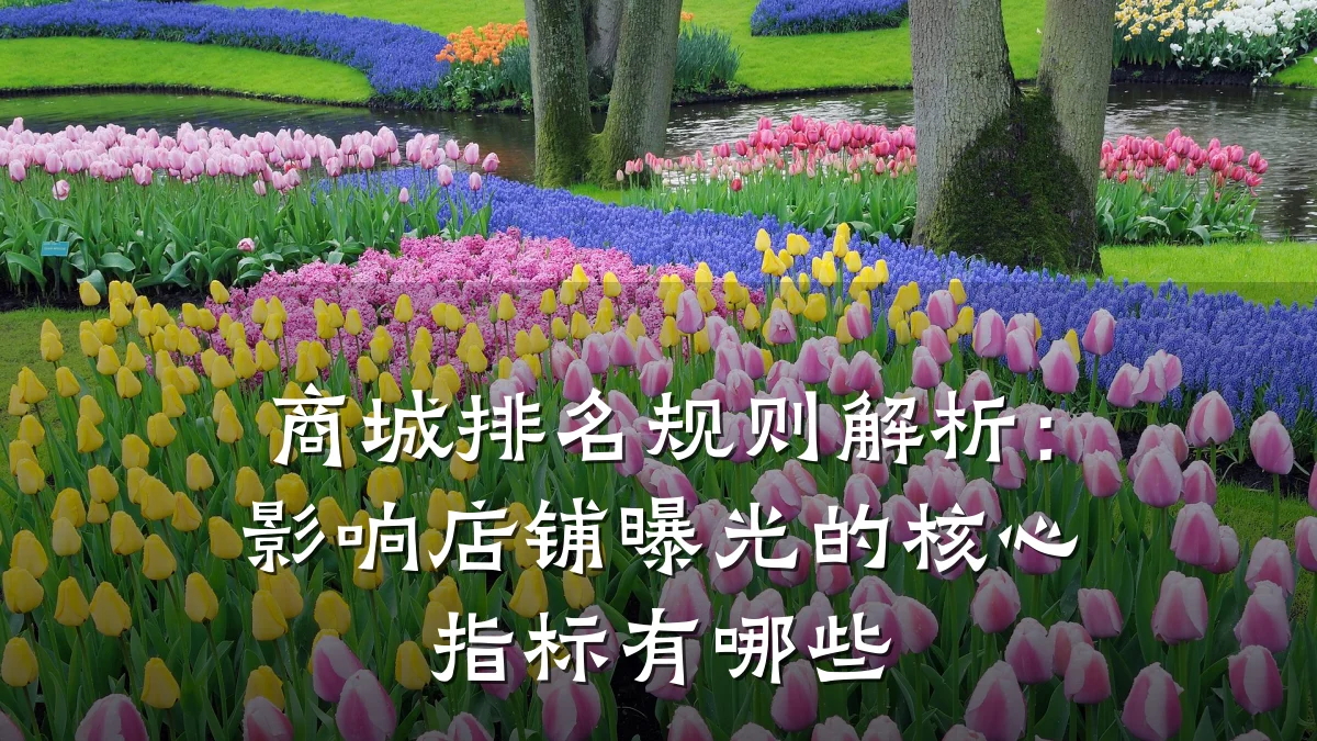 商城排名规则解析:影响店铺曝光的核心指标有哪些