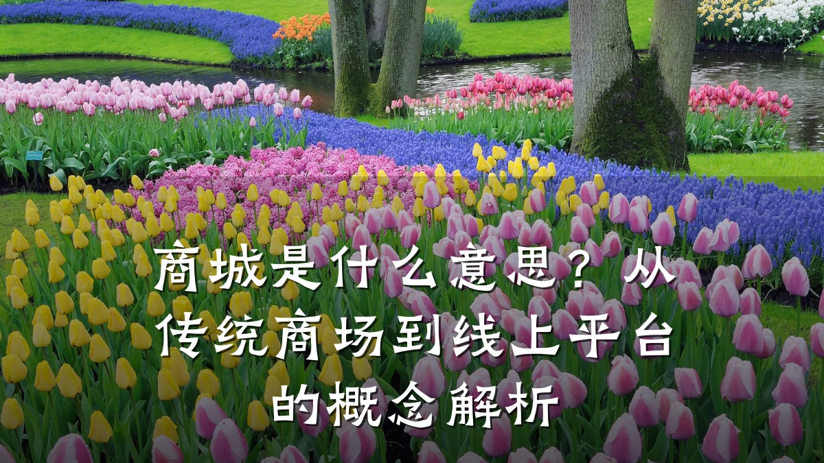 商城是什么意思？从传统商场到线上平台的概念解析
