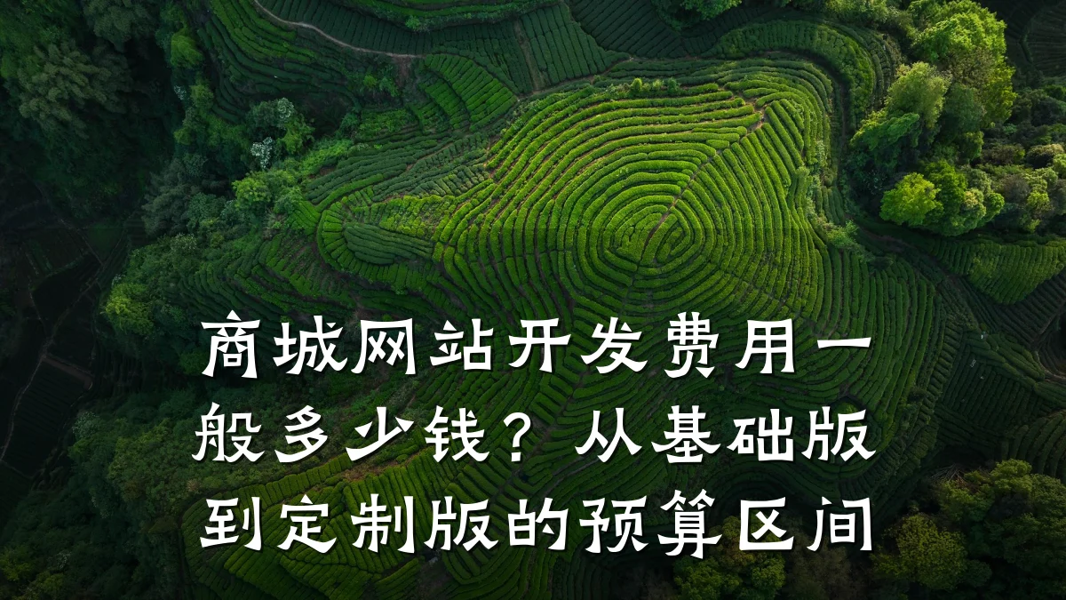 商城网站开发费用一般多少钱？从基础版到定制版的预算区间